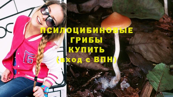 спайс Покров