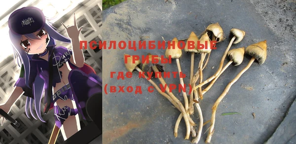 Альфа ПВП Балабаново