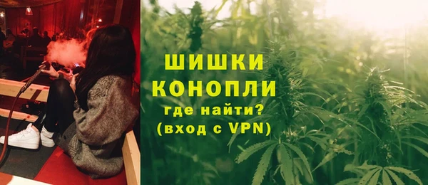 крисы Покачи