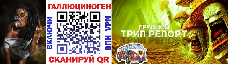 сколько стоит  Юрьев-Польский  Галлюциногенные грибы Cubensis 